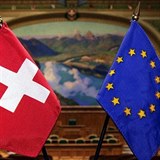 vcarsko nadle bude udrovat obchodn vztahy s EU, jejm lenem se ale...