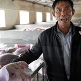 Farm Li Xiaobo prosil lidi, aby mu pomohli zachrnit jeho prasata. Prosby...