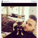 Cheryl a Liam Payne maj v rodin nov prstek