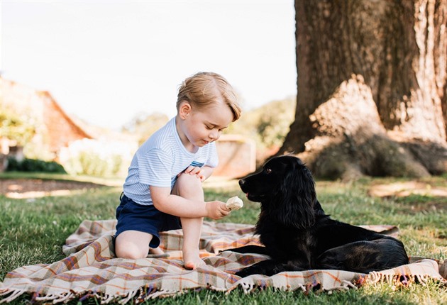 Malý prince George pod palbou kritiky.