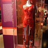 Masov aty Lady Gaga skonily v muzeu