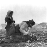 Armnsk ena se skln nad mrtvou dcerou.