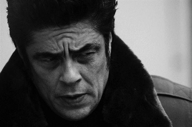 Benicio del Toro.