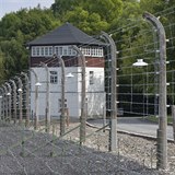Koncentran tbor Buchenwald.