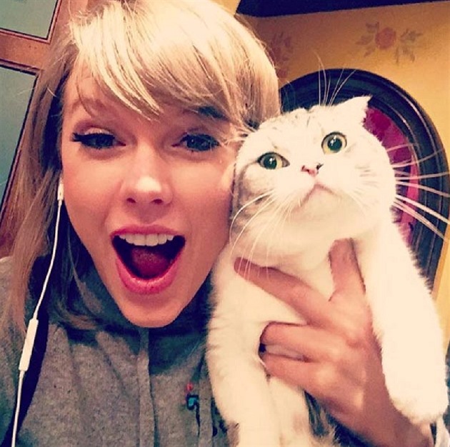 Taylor Swift a Meredith Grey