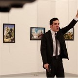 Stelec se do galerie dostal na falen policejn prkaz.