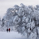 Milovnci zimy se konen dokaj. V tdnu od 12. do 18. prosince bude mrznout...