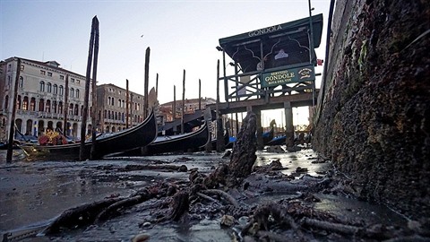 Italské Benátky se potýkají s vlnou sucha. Díky té vyschly i kanály, které...