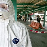 Virus tto choroby se poprv objevil v Hongkongu v roce 1997. Od t doby se...