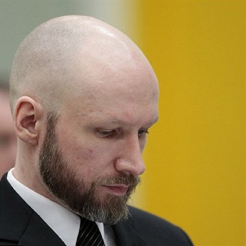 S oholenou hlavou a precizn zastienm plnovousem psob Breivik...