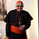 Kardinl a prask arsibiskup Miloslav Vlk.