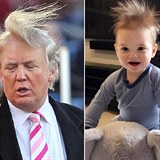 Rodina se nezapře. Trumpův nejmladší vnouček Theodore se může pochlubit stejně... Rodina se nezapře. Trumpův nejmladší vnouček Theodore se může pochlubit stejně...