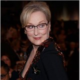 Tohle u je moc i na Meryl Streep. Vrtila Lagerfeldovi der.