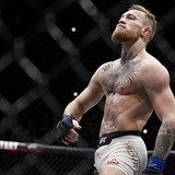 Conor McGregor je bijec jak m bt!