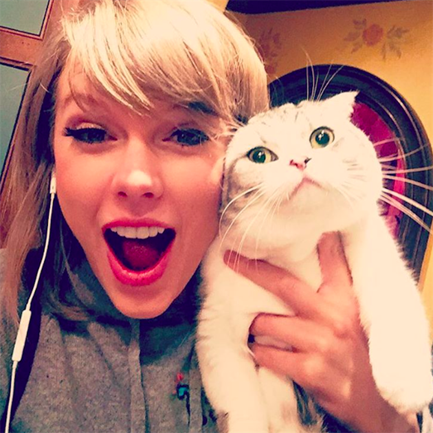 Meredith se s Taylor nerada fotí.