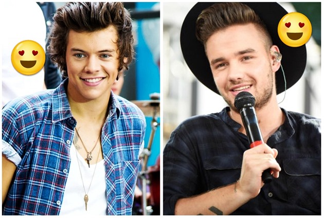 Harry Styles / Liam Payne