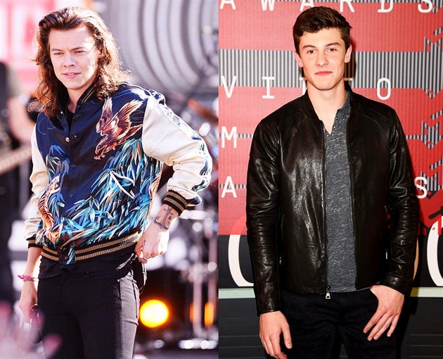 Harry Styles / Shawn Mendes