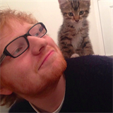 Ed Sheeran a kotko.