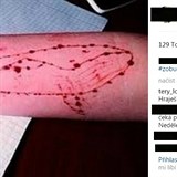 Na Instagramu se mezi eskou mlde  sebevraedn Modr velryba