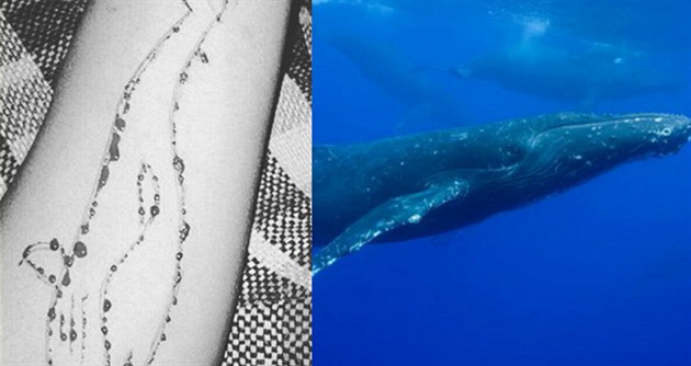 Dalí dívka propadla Modré velryb, ped smrtí ji zachránili rodie.