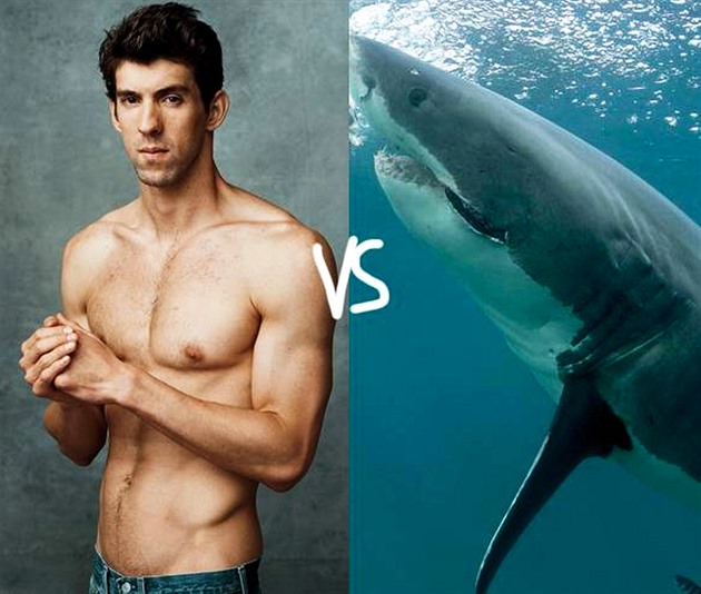 Michael Phelps vs White Shark