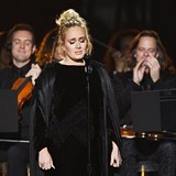 Adele fanoukm oznmila zruen koncertu jen pr hodin ped jeho konnm.