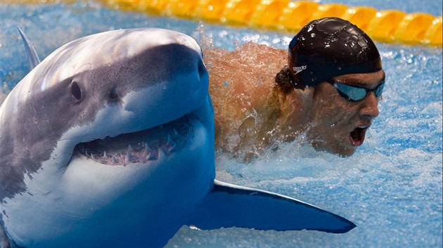 Michael Phelps závodil s ralokem bílým.