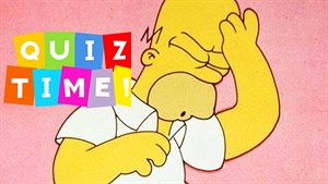 Homer Simpson Homer Simpson