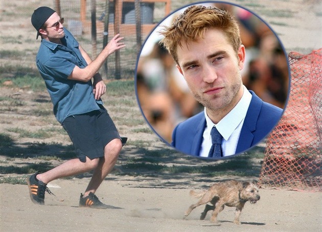 Robert Pattinson ml údajn run uspokojoval psa. On to vak odmítl.