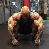 Rich Piana je znm kulturista.