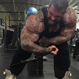 Rich Piana bhem tvrdho trninku.