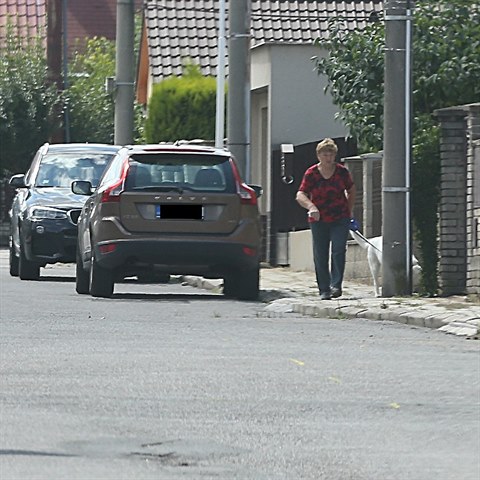 Matka slavnho hokejisty ven na Kladn pejska.