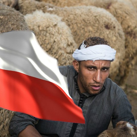 Do Polska maj migranti, hlavn ti muslimt, dvee zaven.