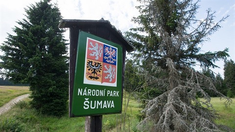 Správa Národního parku Šumava se chystá utratit jelena, který napadl... Správa Národního parku Šumava se chystá utratit jelena, který napadl...
