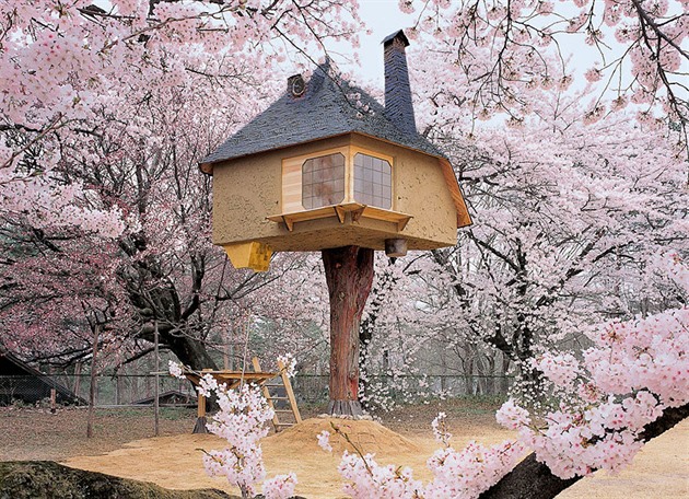 Treehouse