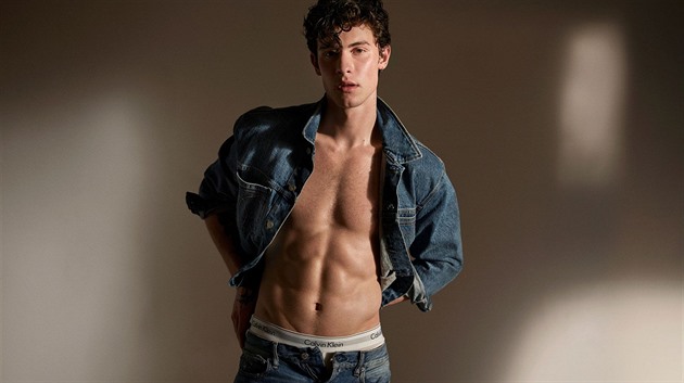 Shawn Mendes má nové tetování