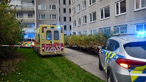 Mělo jít o dvojnásobnou sebevraždu. Mělo jít o dvojnásobnou sebevraždu.