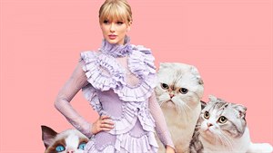 Taylor Swift kočky miluje Taylor Swift kočky miluje