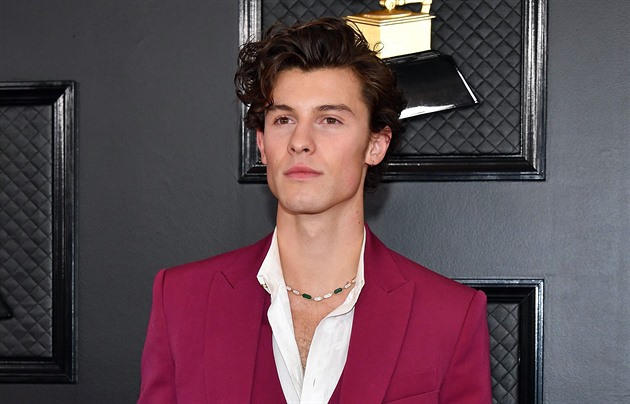 Shawn Mendes byl na Grammy sám