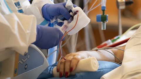 Oddlení na klinice anesteziologie, resuscitace a intenzivní medicíny ve...