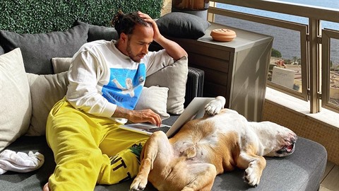 Lewis Hamilton se svým psem Roscoem, ze kterého udělal vegana. Lewis Hamilton se svým psem Roscoem, ze kterého udělal vegana.