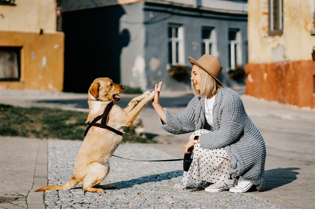 Jaké zvíe je pro vás ideální podle horoskopu?