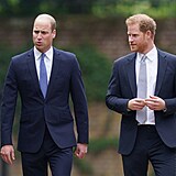 Princov William s Harrym neetili smvy.