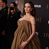 Angelina Jolie podn vystavila svoje silikony.