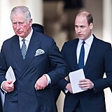Prince Charlese dal tok syna Harryho hluboce zashl.