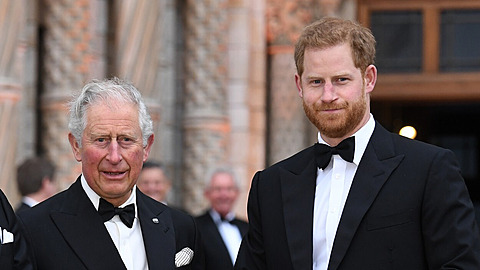 Princ Harry letí do Spojeného království za králem Karlem III.