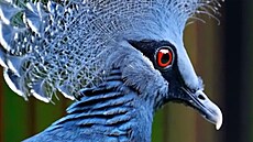 Umělá inteligence OpenAI Sora