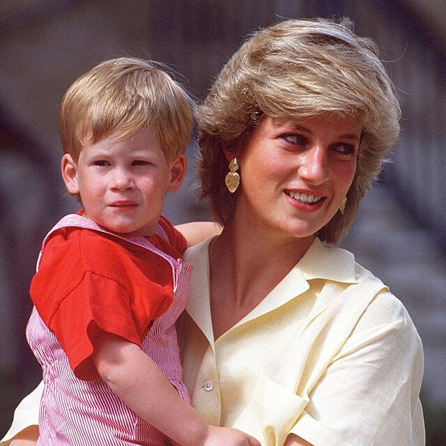 Princezna Diana a princ Harry