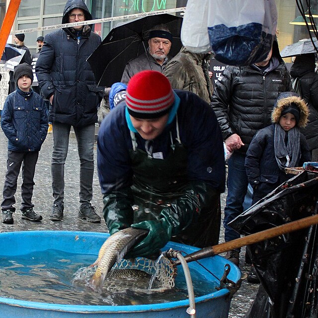 Prodej vánočních kaprů