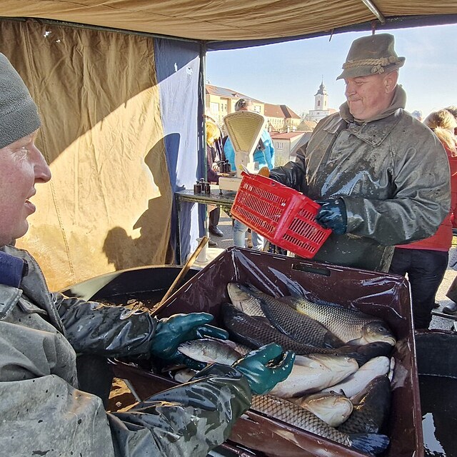 Prodej vánočních kaprů